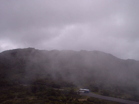 Sector de las antenas