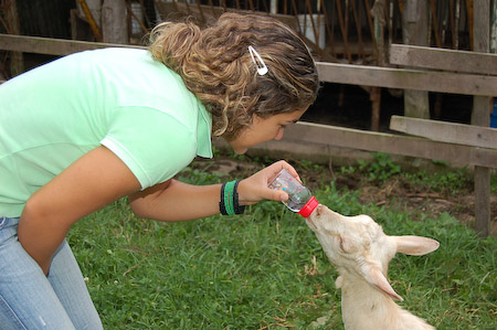 Contacto director con los animales
