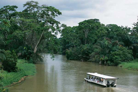 Canales de tortuguero