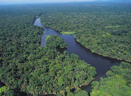 Parque Nacional Tortuguero