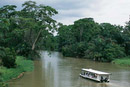 Canales de tortuguero